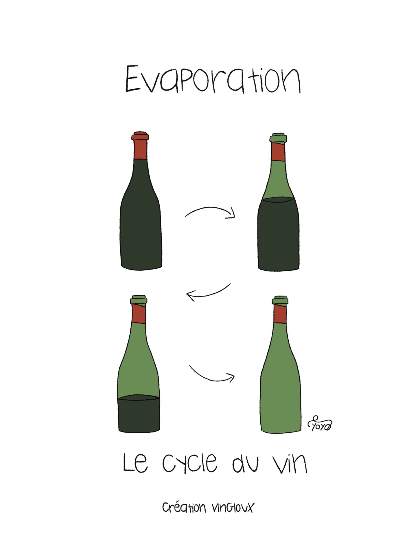 Le cycle du Vin