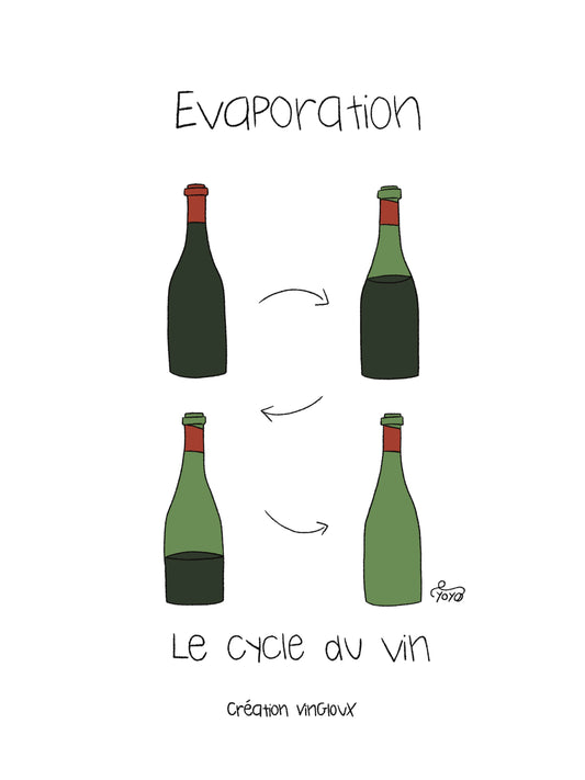 Le cycle du Vin